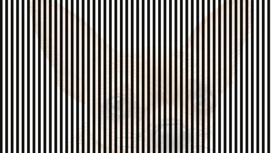 Iluzie optică virală | Doar 1% dintre oameni pot vedea ce animal se ascunde în această imagine