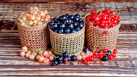 Fructele acrișoare care curăță ficatul și vasele de sânge încărcate cu grăsime