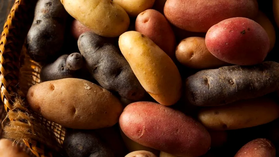 Cartofii - proprietăţi şi valori nutriţionale