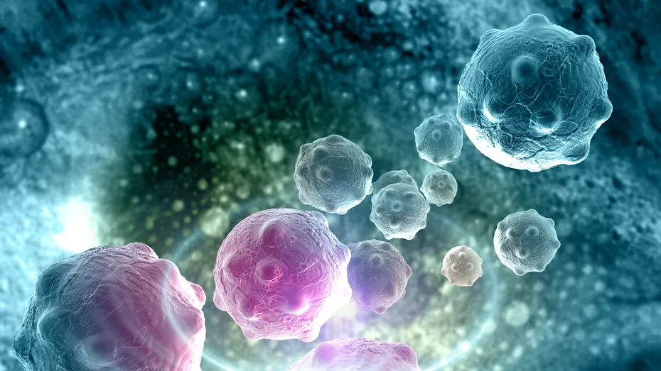 P53, proteina care luptă împotriva cancerului