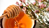 Beneficiile consumului de miere de Manuka