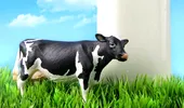 Cum te poţi proteja de alergia la laptele de vacă