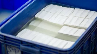 Ingredientul secret pentru supe și smoothie-uri mai cremoase și mai nutritive. Înlocuiește smântâna, untul sau făina atunci când gătești