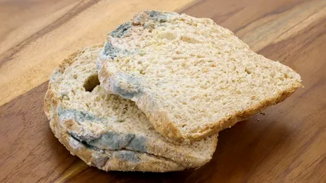 Este sigur să mănânci pâine mucegăită? Iată ce spun experții