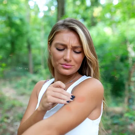 Plantele care resping țânțarii mai rapid decât orice spray din comerț. E musai să le ai în grădină și casă