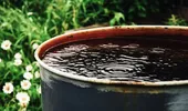 Nu arunca compostul matur! Trucul simplu prin care îl transformi într-un „îngrășământ lichid” pentru grădină