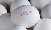 Știai care sunt cele mai bune ouă pentru consum? Ce înseamnă, de fapt, codul de pe ouăle din supermarket