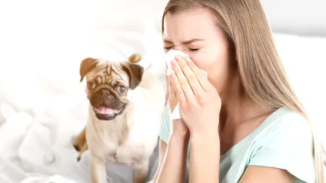 Motivele pentru care ne curge nasul deşi nu suntem răciţi | Medic: 