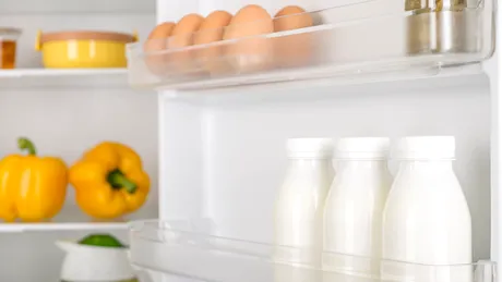 Alimentele pe care să nu le pui pe ușa frigiderului. Temperatura fluctuantă poate afecta calitatea lor