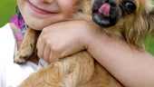 Cum îi ajută animalele de companie pe copiii bolnavi de autism