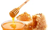 Mierea de albine – cea mai sănătoasă sursă de zahăr concentrat