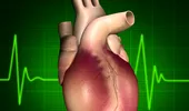 Persoanele scunde au un risc mai mare de boli cardiace