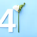 Te-ai născut pe 4, 13, 22 sau 31? Ce spune numerologia despre oamenii care gândesc diferit