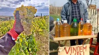 Un român a cumpărat 15 sticle de vin de țară, de la Valea Călugărească până la Focșani, și a făcut un experiment