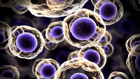 Cancerul pancreatic ar putea fi vindecat cu ajutorul bacteriilor radioactive
