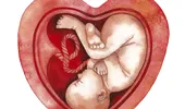 Dr. Mona Zvâncă: morfologia fetală şi testele genetice în sarcină VIDEO by CSID
