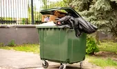 Cum scapi de muștele din jurul tomberonului. Trucurile simple care pot ține insectele la distanță în zilele călduroase