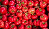 Secretul roșiilor cu adevărat gustoase. Semnele care arată că ai ales un fruct plin de aromă