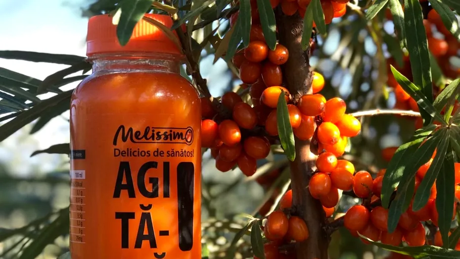 Sănătatea înainte de toate! Combinația perfectă pentru o sănătate de fier: Cătină cu miere