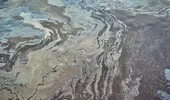 Ce mănâncă oamenii din Islanda și Groenlanda. Alimente fermentate și tradiții culinare extreme
