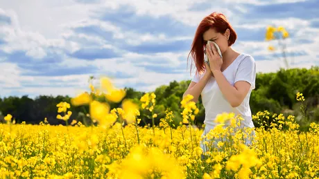 Alergiile de primăvară. Unul din patru români suferă de o formă de alergie. Tratamentul recomandat de specialiști