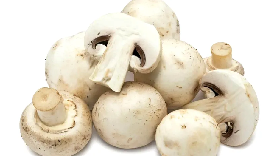 Cum să păstrezi ciupercile proaspete mai mult timp. Ele conțin multă apă și se alterează ușor