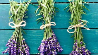 Lavanda înflorește an de an dacă o îngrijiți încă de pe acum! Un singur ingredient natural face minuni