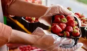 Surpriză neașteptată într-o caserolă cu căpșuni! Ce a descoperit un bucureștean după ce a ajuns acasă