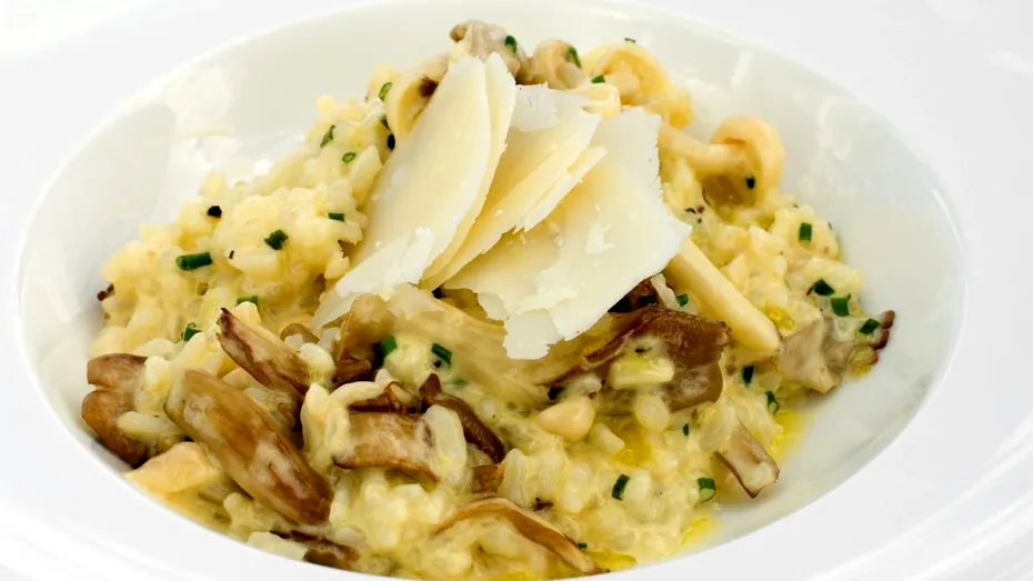 Alimentul-minune care se găsește din abundență în pădurile din România. Italienii plătesc sute de euro pentru el