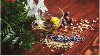 Obosit după o noapte nedormită? Aceste 7 plante pot fi aliatul tău natural