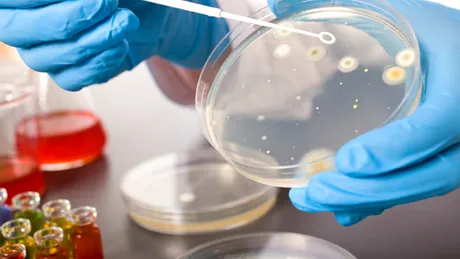 Rezistenţa la antibiotice, depistată prin intermediul unui biosenzor