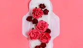 Menstruaţia de la A la Z: fazele menstruaţiei, simptome şi motive pentru care întârzie