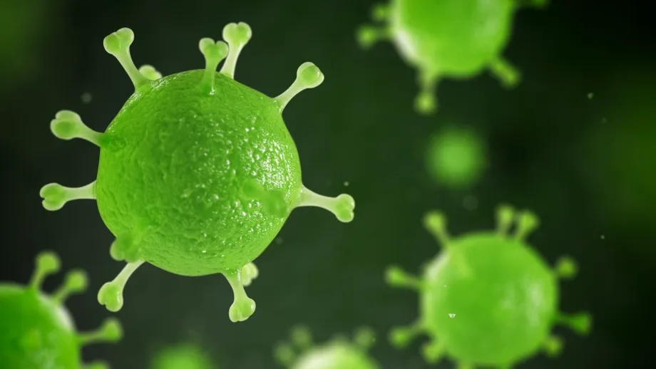 Alertă OMS! O nouă variantă a virusului mpox se răspândește rapid la nivel mondial