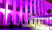 Palatul Victoria va fi iluminat în mov, pentru a marca Ziua Mondială a Epilepsiei