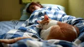 Motivul real pentru care pisica doarme în pat, lângă tine. Ce vrea să îți comunice, de fapt
