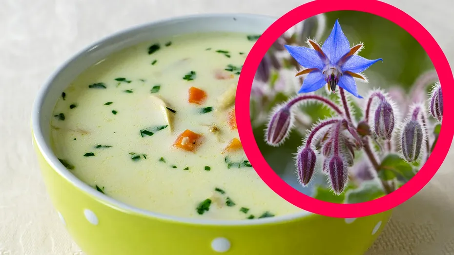 Rețetă ciorbă de primăvară cu 