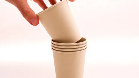 Tips & tricks pentru un stil de viață eco-friendly