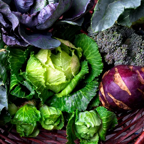 Medicamente NATURALE pentru hipertensiune. Ce să mănânci ca să se dilate vasele de sânge