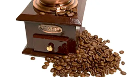 Cafea, cacao si alternativele lor sanatoase: cicoarea si roscovele