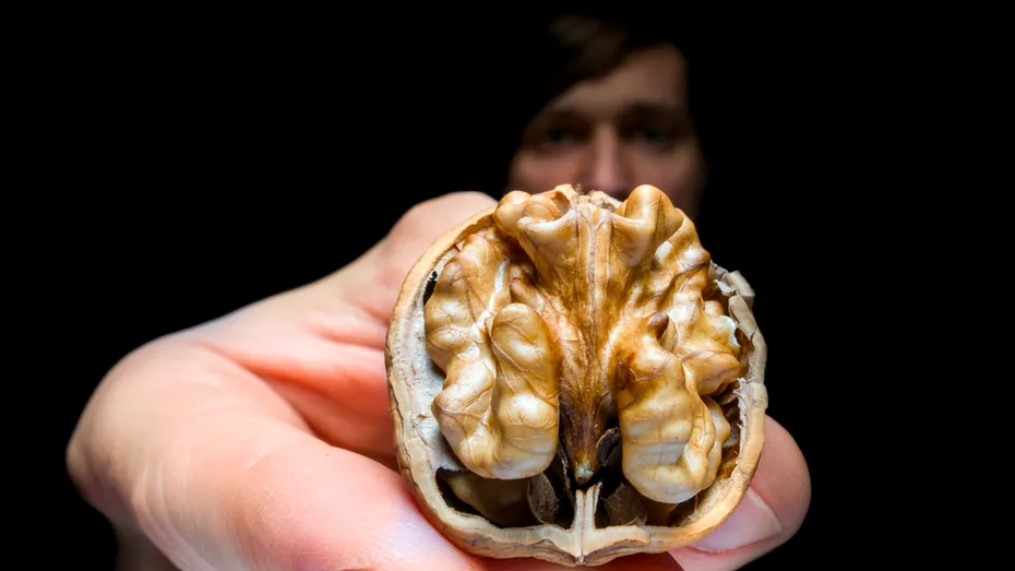 Dieta anti-demență. 50 de alimente care previn pierderile de memorie