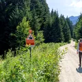 Comunicat de presă: De la burnout la „vreau să demonstrez că pot”: cine sunt oamenii care au ales 10 zile de stres bun pe Via Transilvanica. Primele tipologii identificate în studiul MedLife