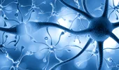 O nouă afecțiune neurologică rară, descoperită recent. Doar 13 cazuri confirmate!