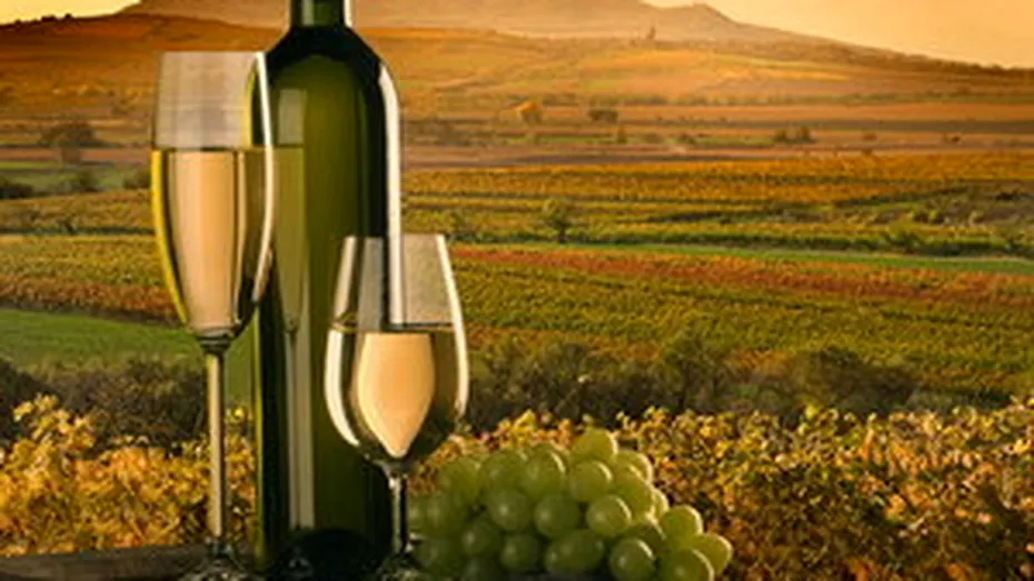 Vinul ecologic - un pahar pentru viata lunga