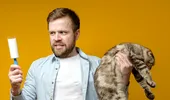 Cum poţi scăpa rapid de părul de pisică de pe haine şi din case. Cele mai bune soluţii
