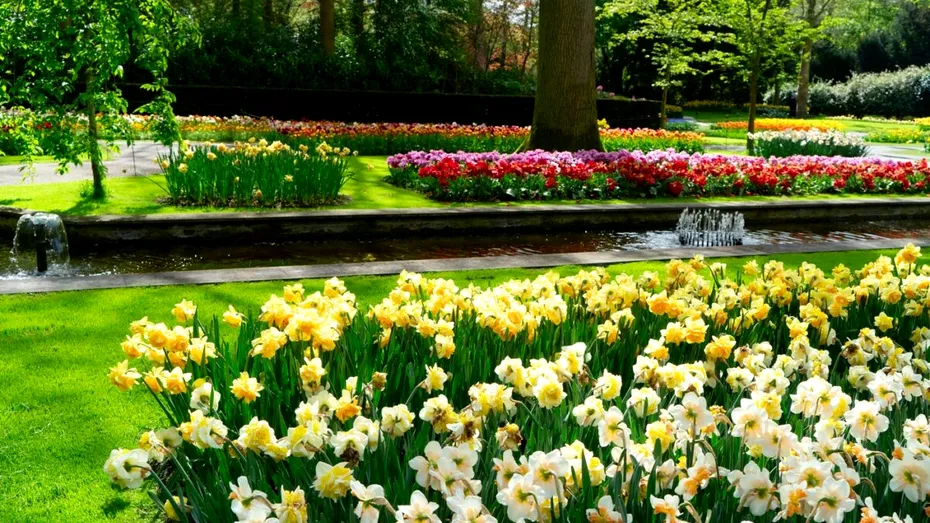 Ce să faci în grădina ta în aprilie pentru o curte verde și frumoasă la vară