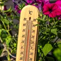 Cum se udă corect plantele din grădină în perioadele de caniculă?