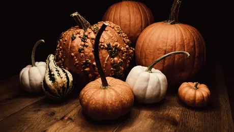 Dovleacul: beneficii pentru sănătate