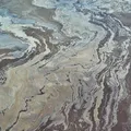 Ce mănâncă oamenii din Islanda și Groenlanda. Alimente fermentate și tradiții culinare extreme
