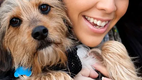 6 boli pe care le poţi lua de la câinele tău
