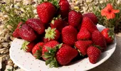 Vrei să slăbești? Iată 3 fructe de sezon cu conținut scăzut de zahăr. Cumpără-le pe cele românești!